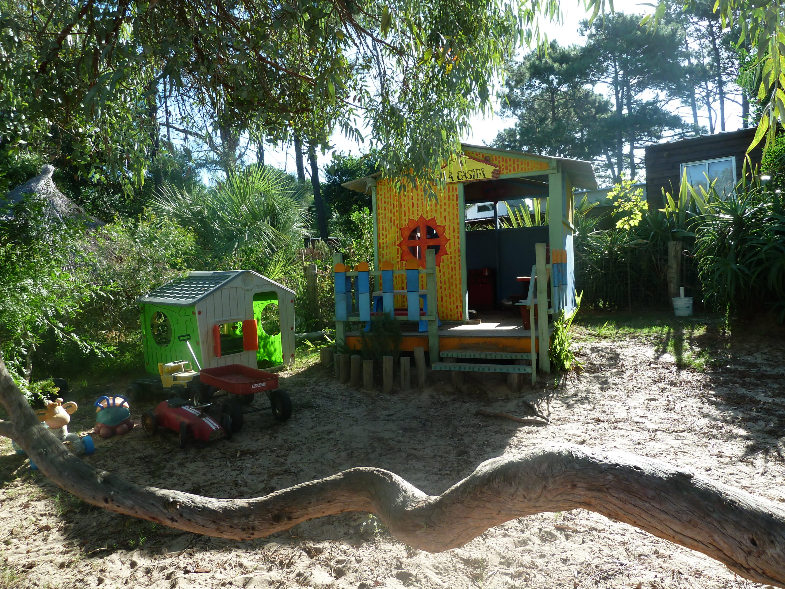 Escuela Viva del Bosque